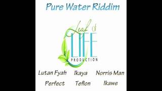 Norris Man  Wicked Wont Get Away  Pure Water Riddim  Leaf of Life Productions [upl. by Aitnohs]