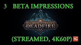 Deadfire Pillars of Eternity 2  Impressions 4K Gameplay Beta 3 Path of the Damned [upl. by Celestyn]