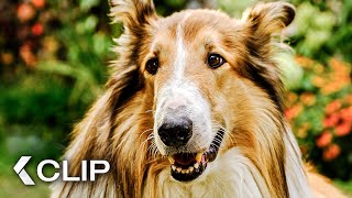 Lassie rettet die entführten Kinder  LASSIE Ein neues Abenteuer Clip amp Trailer German 2023 [upl. by Ardnaeed]