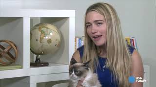 Remember the Time We Hung with Grumpy Cat Take a Look [upl. by Melisa]