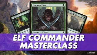 How to build any Elf Commander Deck  Masterclass [upl. by Phelgen]