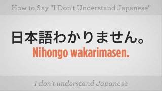 Say quotI Dont Understand Japanesequot  Japanese Lessons [upl. by Acinot]