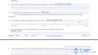 Form MN NAM202 Application for Name Change of a Minor [upl. by Gosney]