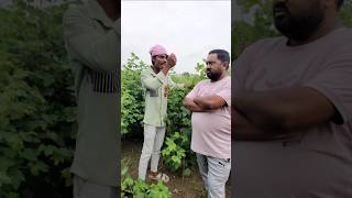 मारी मेहनत नु कपास 😂👍 पिन्जु मावी विपुल भाई कॉमेडी pinjumavi vlog aadivasicomedy minivlog funny [upl. by Stilla]