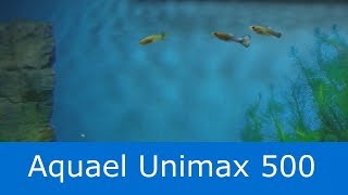 Aquael Unimax 500 w akwarium 200 litrów Czy się sprawdza [upl. by Rhys]