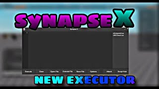 HOW TO DOWNLOAD THE LATEST SYNAPSE XIT IS WORKINGEXECUTOR ROBLOX 2024 [upl. by Cyndia]