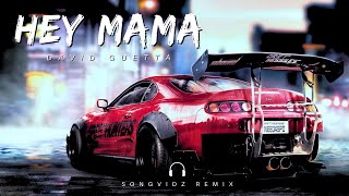 David Guetta  Hey Mama  SongVidz Remix [upl. by Melinda]