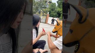 Im sorry pregnant woman hungry😿🥗dog doglover cute pets animals shortvideo [upl. by Nomelc490]