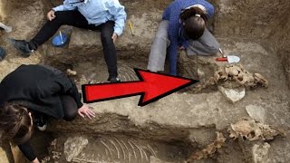 13 Strange Animal Discoveries Unearthed [upl. by Derwood593]