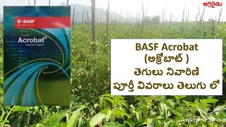 BASF Acrobat Fungicide in Telugu  అక్రోబాట్ తెగులు నివారణి పూర్తీ వివరాలు తెలుగు లో [upl. by Blain598]