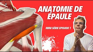 Anatomie de lÉpaule  Tout Ce Que Vous Devez Savoir  💪🦴 [upl. by Atelahs509]