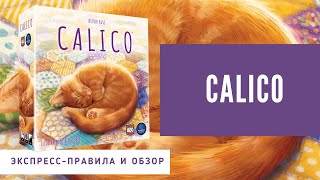 Краткие правила настольной игры quotКотикиquot How to play Calico Минираспаковка и обзор 4K [upl. by Enawyd865]