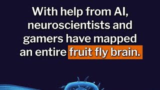 Scientific First Fruit Fly Brain Mapped Opening Up Possibilities for Humans [upl. by Lenette]