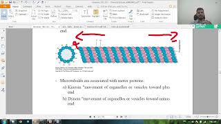 general histology revision  microtubules and epithelium [upl. by Debra]