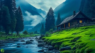 Beautiful Relaxing Music  Stop Overthinking Stress Relief Music Sleep Music Calming Music 60 [upl. by Sudbury81]