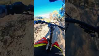 Éguilles bike park piste bleu downhill vttae overvolt [upl. by Ikir303]