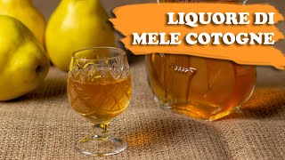 Liquore di mele cotogne 🥃 [upl. by Sinegra]