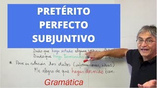 Pretérito perfecto de subjuntivo [upl. by Jennette]