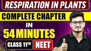 RESPIRATION IN PLANTS in 54 Minutes  Full Chapter Revision  Class 11 NEET [upl. by Ailekahs925]