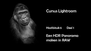 Hfdst 6 Deel 1 Een HDR Panorama maken in RAW [upl. by Okomom65]