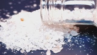 Insane Drug “Flakka” Disappears From Florida Streets [upl. by Anneh918]