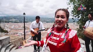 Canción y vídeo oficial del carnaval de Cajamarca 2019 [upl. by Ibson964]