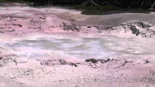 Boiling Mud Pit  HD Fountain Paint Pot  Yellowstone National Park [upl. by Zohar225]