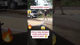 Tanggung resiko pak tani funnyvideo jemurpadi [upl. by Lieberman505]