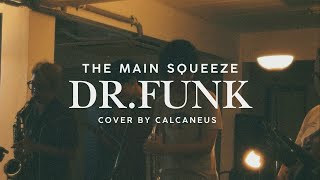 The Main Squeeze  Dr Funk Cover By Calcaneus [upl. by Kally881]