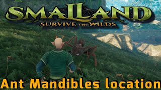 Where to find Ant Mandibles Smalland [upl. by Darom]