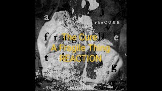 The Cure  A Fragile Thing  REACTION [upl. by Beare]