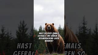 🧸 Unglaubliche Fakten über Bären die du noch nicht kanntest 🐻💥facts [upl. by Newell293]