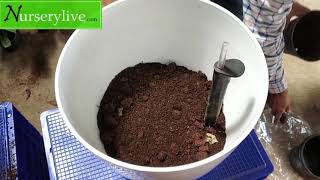 SelfWatering Planter  How to setup your huge selfwatering planter for large plants  nurserylive [upl. by Yerocaj]