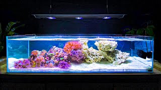 How I Built My Shallow Reef Tank How To Make a Reef Tank [upl. by Unni]