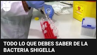 Bacteria Shigella en EEUU a quiénes afecta cómo se transmite y cuáles son sus síntomas [upl. by Aisaim]