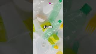 Plastic is Poisoning Our Food [upl. by Atauqal977]