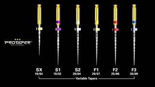 Dentsply Protaper Gold NiTi Rotary Files for endodontics  pinkblue [upl. by Naujuj]