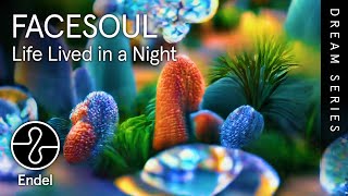 FACESOUL  Life Lived in a Night  Soul Slumber  EndelSound Dream Series [upl. by Ryon]