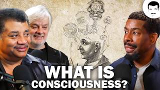 David Chalmers Discusses the Hard Problem of Consciousness [upl. by Swayder]