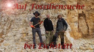 2 Tage auf Fossiliensuche bei Eichstätt [upl. by Rhea]