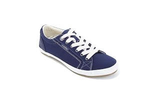 Taos Footwear Star Canvas Sneaker [upl. by Odraleba]