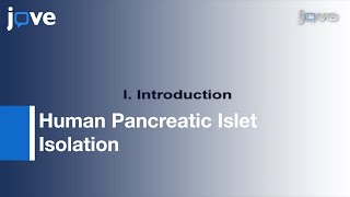 Human Pancreatic Islet Isolation Purification amp CultureHuman Islets l Protocol Preview [upl. by Lauree]