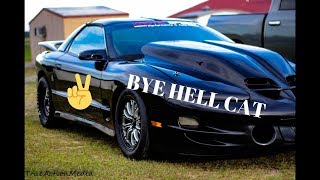 Ls Powered Trans am vs Hell cat [upl. by Ahsya]