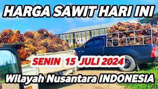 HARGA SAWIT HARI INI TERBARU 15 JULI 2024 Wilayah Daerah Nusantara INDONESIA [upl. by Lenoil]