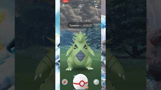 CATCHING MEGA TYRANITAR  POKEMON GO fypシ pokemon pokemongo [upl. by Simona]