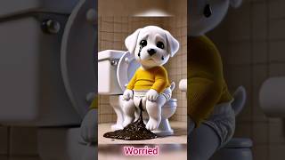 cute dog video  dog poop in pamper  dog doglover dogs shorts dogshorts viralvideo dogvideos [upl. by Lekcim950]