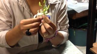 Cómo hacer un Boutonniere para el novio wwwRamosdeNoviaMx [upl. by Aivizt29]