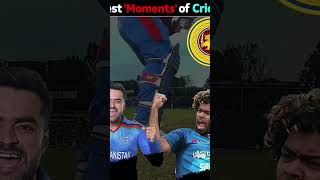 Best of cricket cricket [upl. by Hendricks164]