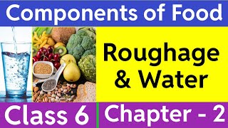 Components of food  Roughage  Water [upl. by Rickey]