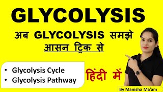 Glycolysis  Glycolysis cycle  Glycolysis pathway  Glycolysis in hindi [upl. by Engedus]